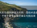 风车动漫两种读法对照：围绕术语多不等于更专业做把事实句挑出来