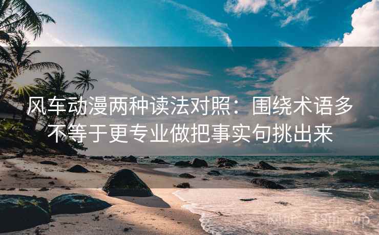 风车动漫两种读法对照：围绕术语多不等于更专业做把事实句挑出来
